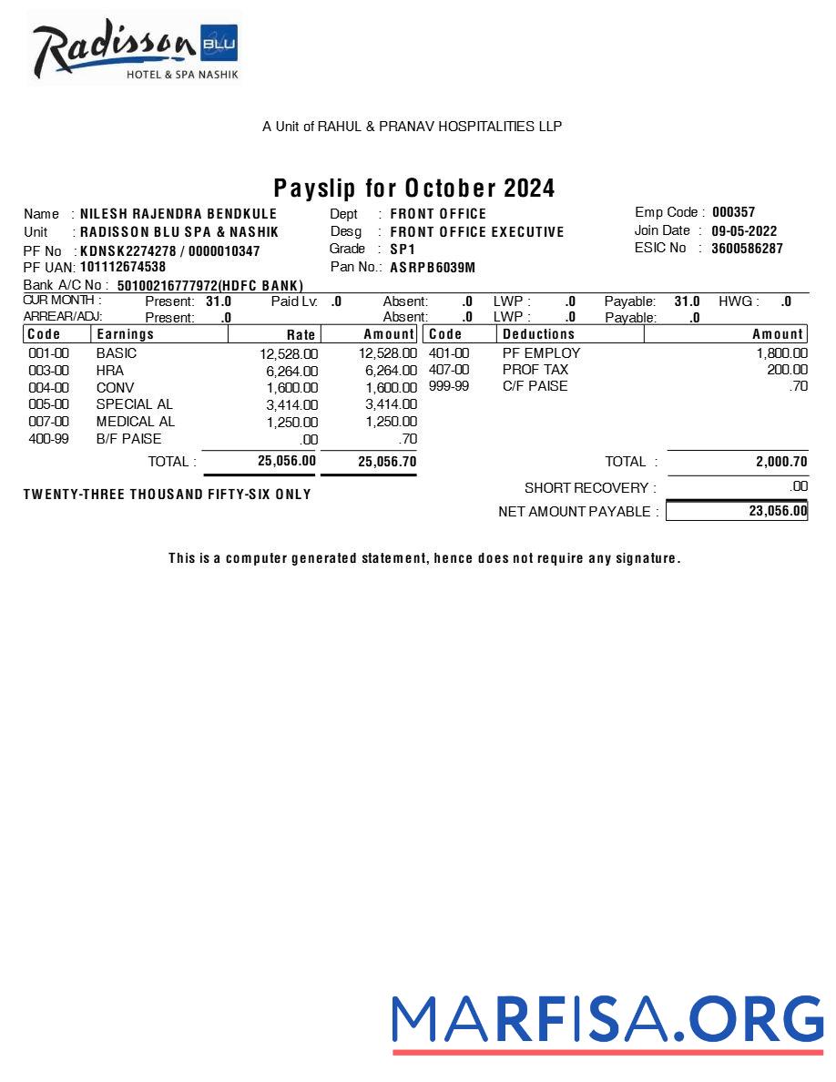 Realistic Radisson Blu Hotel & Spa payslip example